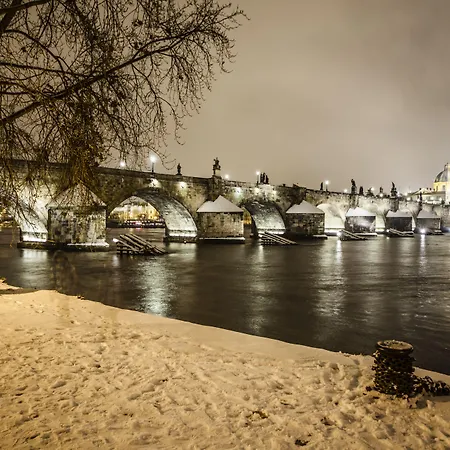 Archibald At The Charles Bridge Prag