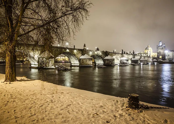 Archibald At The Charles Bridge Praga