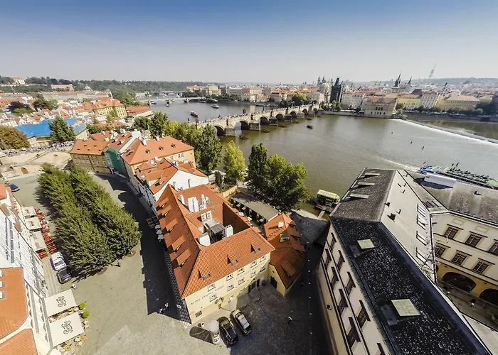 Archibald At The Charles Bridge Praga